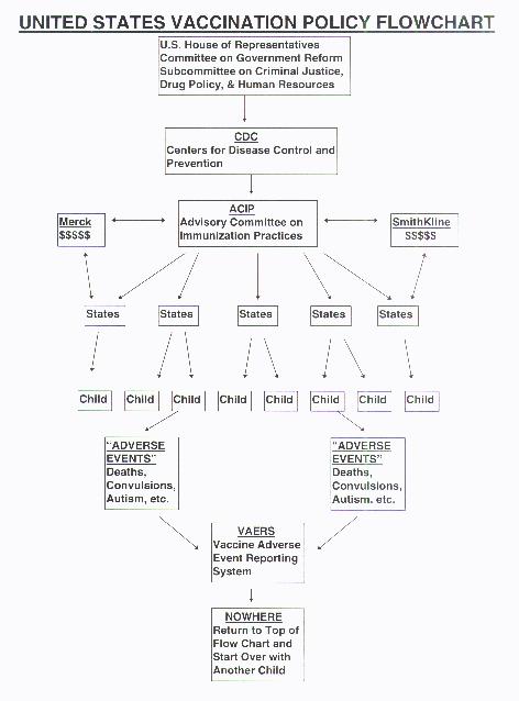 [U.S. Vaccination Policy Flowchart]